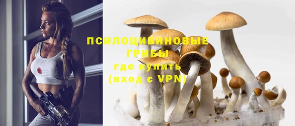 бутират Михайлов