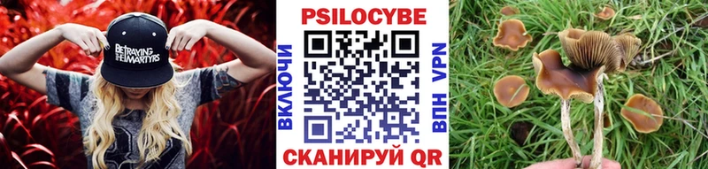 кракен зеркало  Кызыл  Галлюциногенные грибы GOLDEN TEACHER 